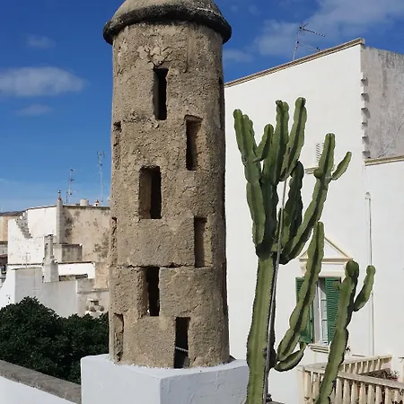 Corte Moline-2